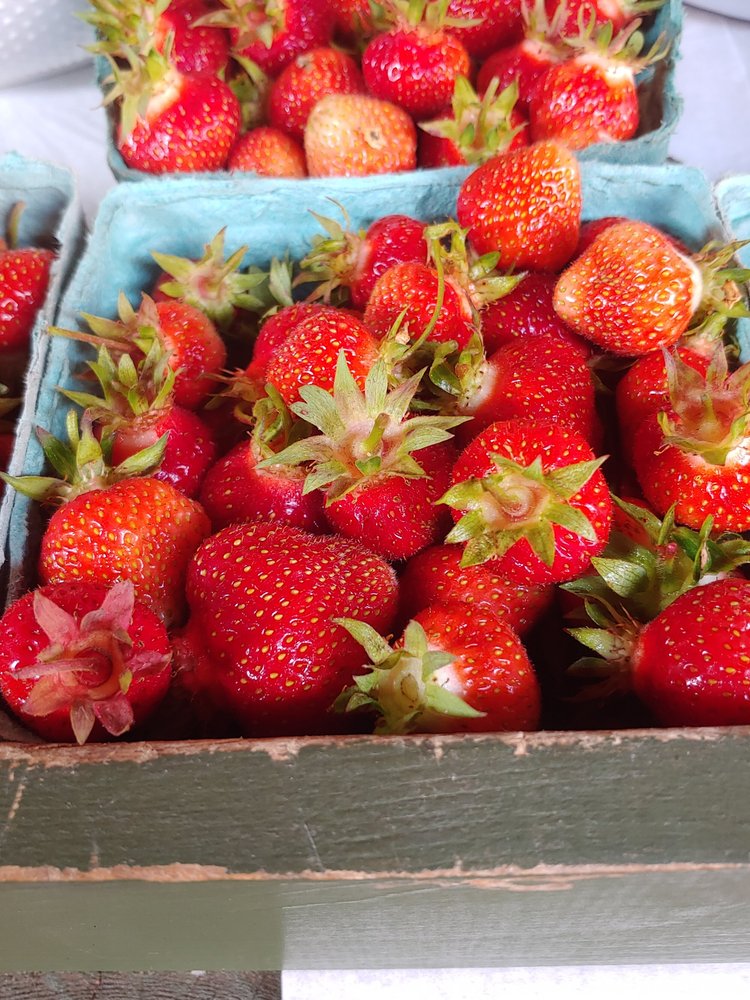 Freshly picked strawberries in green baskets, showcasing vibrant red fruit with green leafy tops, ideal for snacking or baking.