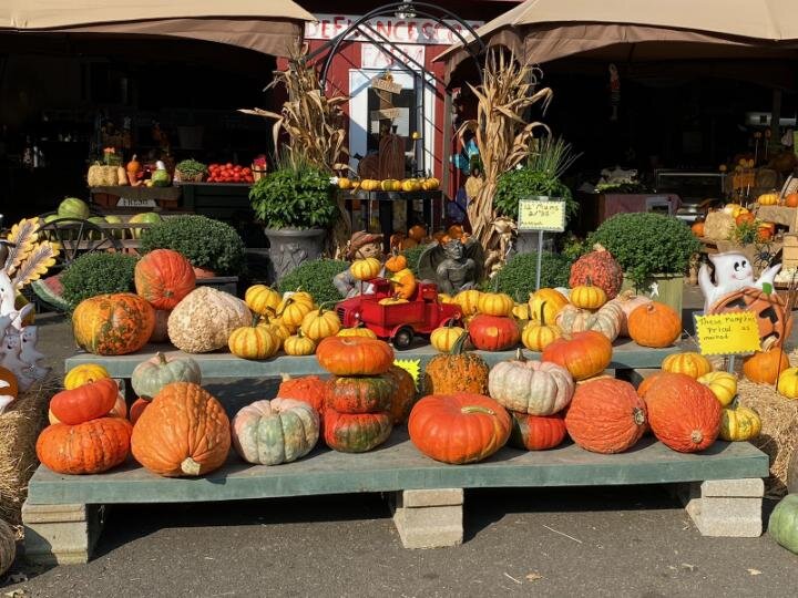 Colorful display of various pumpkins in different shapes and sizes, arranged on wooden platforms at a seasonal market, with decorative corn stalks and a small red toy truck in the foreground. The background features a rustic market with fresh produce and fall decorations.