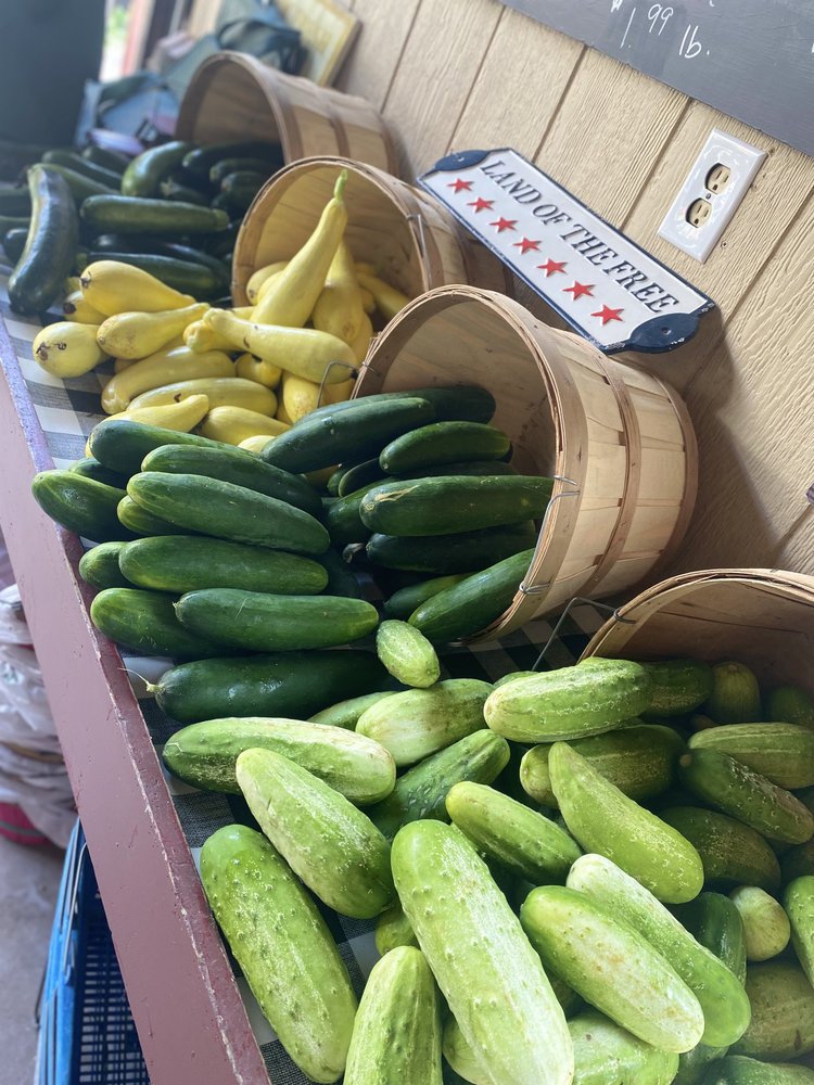 Fresh cucumbers and yellow squash displayed in wooden baskets at a local farmers market, showcasing a vibrant selection of summer vegetables. The sign above reads "Land of the Free," adding a rustic charm to the market setting.