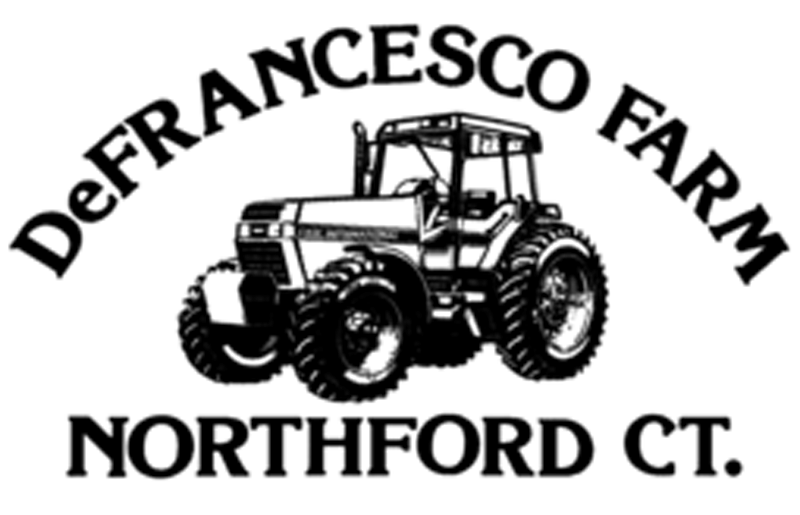 Logo of a modern fitness brand featuring a stylized dumbbell and the brand name, emphasizing strength and health. Suitable for use in gym or wellness-related content.